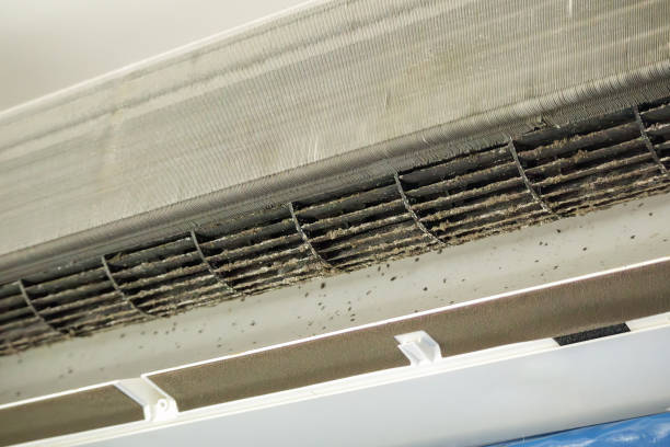 Best Affordable Duct Cleaning Services  in Emerson, NJ